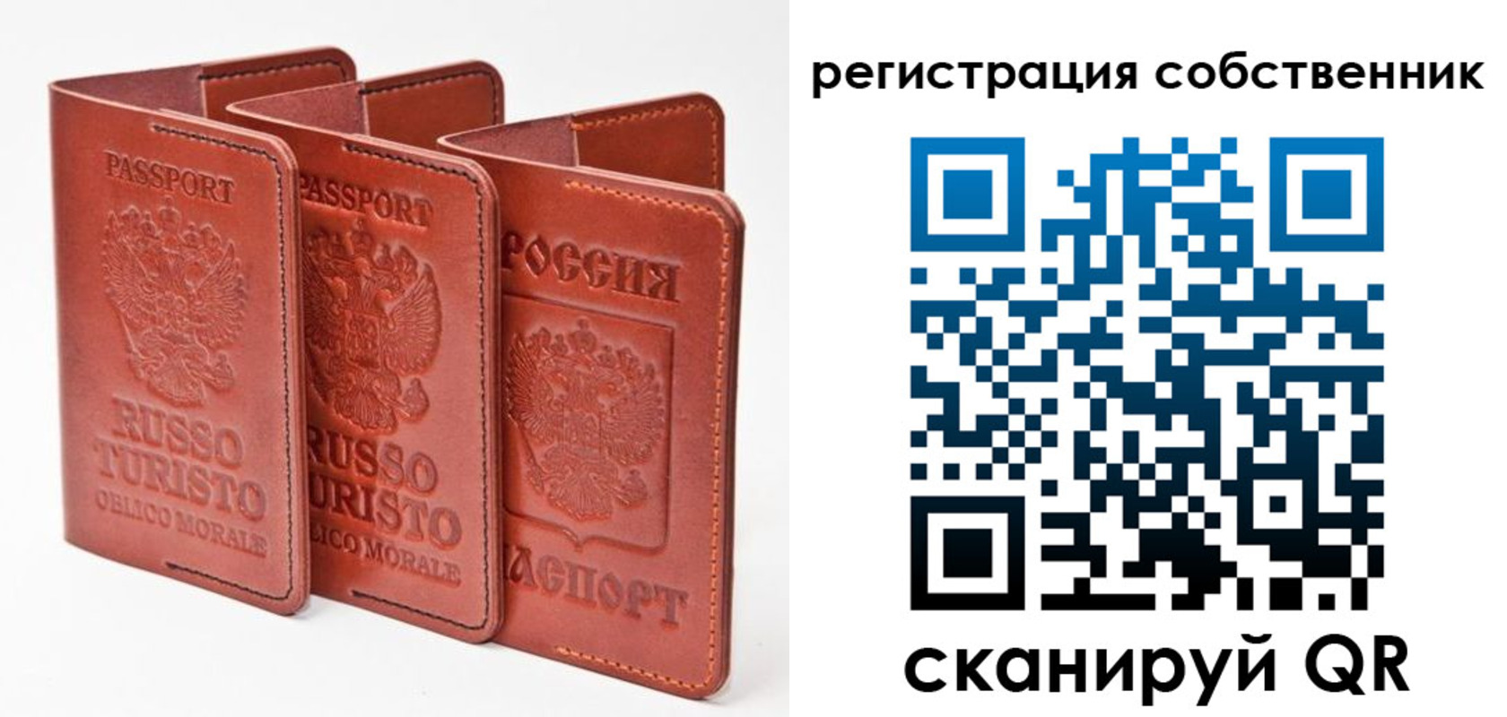 прописка поиск в Светлогорске